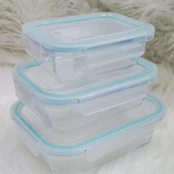 3pc High Borosilicate Glass Food Containers + Insulated Lunch Bag