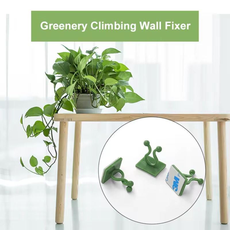 rattan1 10pcs Invisible Wall Plant Climbing Clips - Image 3
