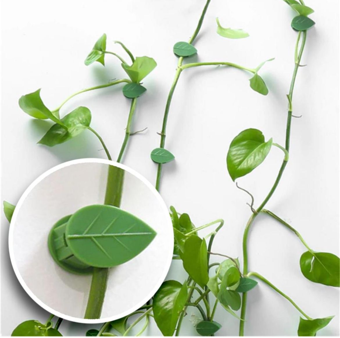 rattan3 10pcs Invisible Wall Plant Climbing Clips - Image 5