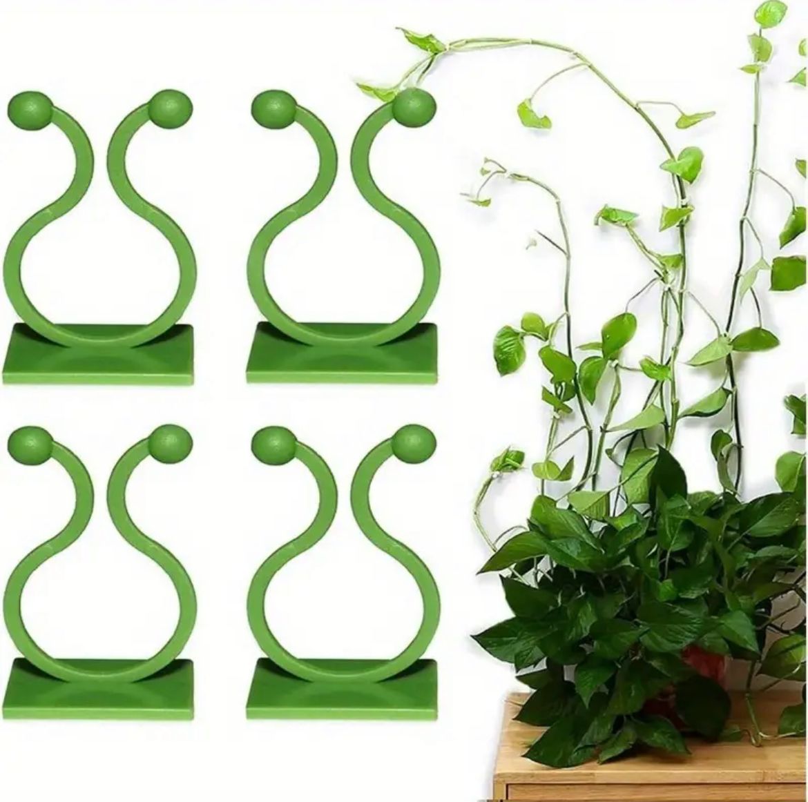rattan4 10pcs Invisible Wall Plant Climbing Clips - Image 6